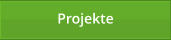 Projekte