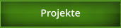 Projekte